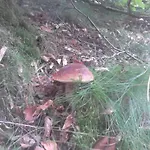 아파트 Apartamentypomorze