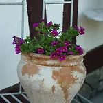 Apartamentypomorze