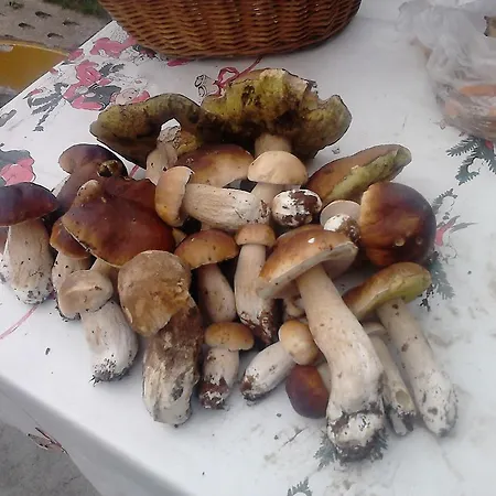 Apartamentypomorze *