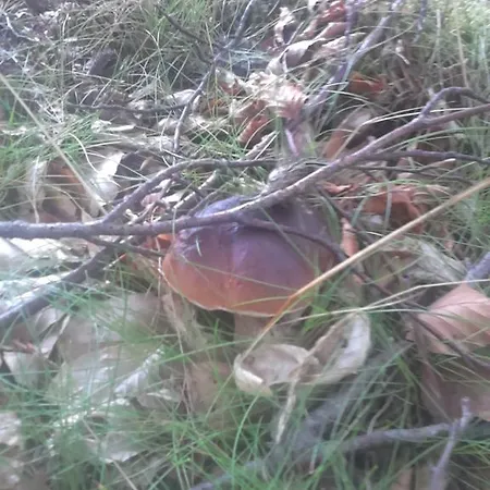 Apartamentypomorze Lägenhet Białogóra