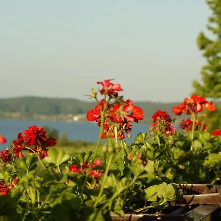 Lägenhet Apartamentypomorze