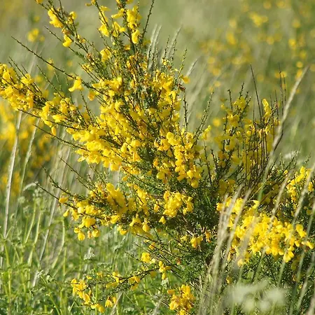 Apartamentypomorze * Białogóra