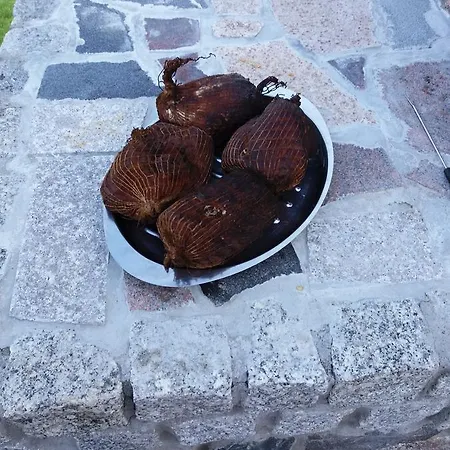 Apartamentypomorze Lägenhet *