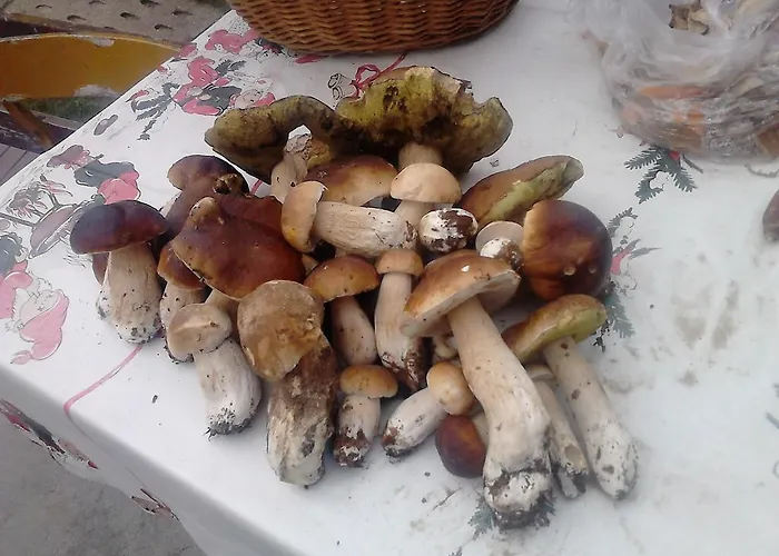 Apartamentypomorze *